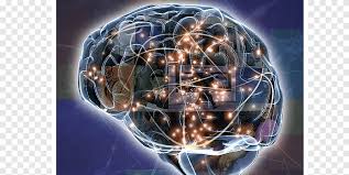 This module includes an introduction to computational neuroscience, along with a primer on basic neurobiology. Frontiers Media Png Images Pngegg