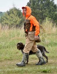Our standards for wirehaired pointing griffon breeders in ohio were developed with leading veterinarians and animal welfare experts. Wirehaired Pointing Griffons Bluestem Kennels