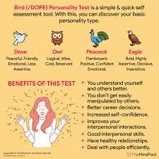 Disc stands for dominance, influence, steadiness, and conscientiousness, and completing the assessment helps predict your behavior towards others and the everyday things you do. Bird Personality Test All You Need To Know Themindfool