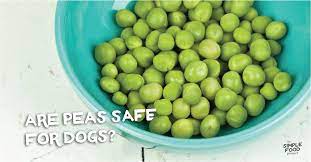 Are Peas Safe For Dogs The Simple Food Project