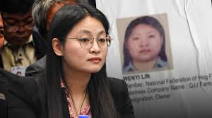 The plot thickens: Is Lin Wen Yi the mother of Mayor Alice Guo?