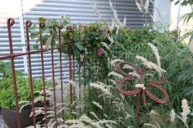 Rostiger Zaun Mit Blumen Bewachsen Hundezaun Clematis Steckzaun