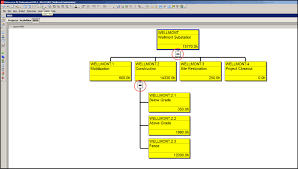 The Primavera P6 Wbs Chart View