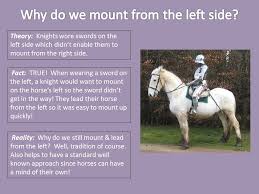 Pin By Woodsideequineclinic On At A Glance Info Facts Info Right Side
