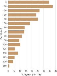 the impact of introduced crayfish on a unique population of