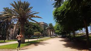 You should stop by our restaurant for your next meal because: Places To Run In Las Palmas De Gran Canaria 4 Ways To Discover The City