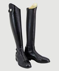 Tucci Harley Tall Boot With E Tex