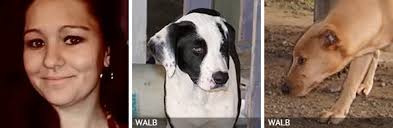 2024 Fatal Dog Attack Breed Identification Photographs