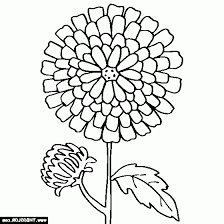 Each activity has an explanation page. Chrysanthemum Coloring Page Coloring Home