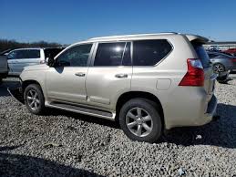 Image result for Satin Cashmere 2012 GX