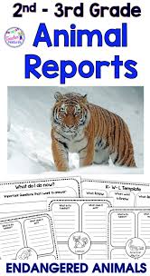 Endangered Animal Animal Reports Boom Cards Research Project Templates Research Projects Animal Report Informational Writing