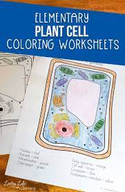 Plant Cell Coloring Worksheet Cells Worksheet Color Worksheets Plant Cells Worksheet