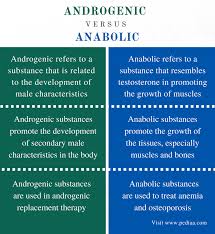 Difference Between Androgenic And Anabolic Definition