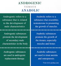 difference between androgenic and anabolic definition