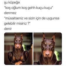Anlamli Dusundurucu Eglenceli Guzel Komik Konusan Resimler Konusan Resimler Www Kizlarinsirlari Club Mizah Komik Seyler Komik