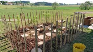 Beerengarten In 2020 Garten Garten Ideen Beeren
