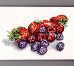 Berries On The Brain Doodlewash