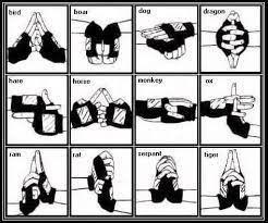 If U Could Learn Any Jutsu From Naruto What Would U Learn? - Naruto  Shippuuden Answers - Fanpop