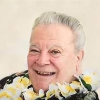 Joseph Squeo Obituary (2022)