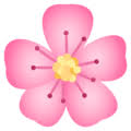 To symbolize beauty and tenderness. Cherry Blossom Emoji