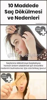 Anasayfa Sac Saglikli Sac Sac Dokulmesi