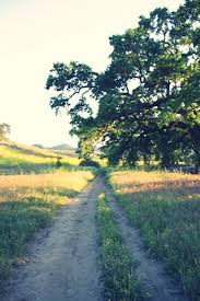 Pin On Nature Scapes