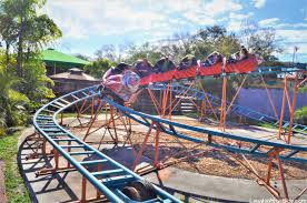 Check spelling or type a new query. Zoo Tampa At Lowry Park Laugh With Us Blog