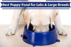 Best Puppy Food For Labs And Large Breeds 7 Reviews