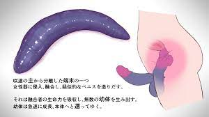 Gelbooru
