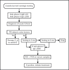 Image result for Q Fever