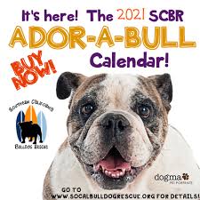 A rescued bulldog is usually very affectionate and bonds with you quickly. Southern California Bulldog Rescue
