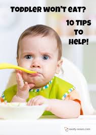 How To Help Your Fussy Toddler Who Won T Eat Vegetables Toddler Wont Eat Fussy Eaters Baby Fussy Eaters Toddlers