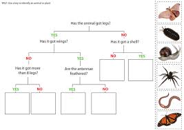 Search Us Teaching Resources Dichotomous Key Teaching Resources Biology Classroom
