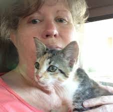 Donate to Janice Lockamy, Cat Rescuer Fund, organized by Jennifer Eady
