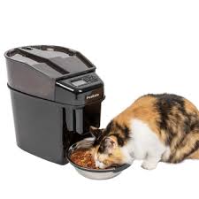 10 Best Automatic Cat Feeders Food Dispensers Of 2019