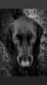 Emma Fiddler (@emmafiddler7)