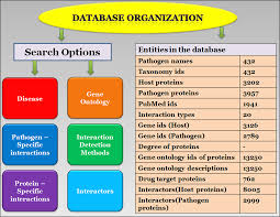 Morcvd A Unified Database For Host Pathogen Protein Protein