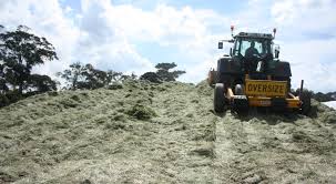 Daily mail reports they think angelina jolie and brad pitt are going to split up! Trac Mac