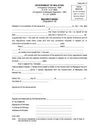 Here are some tips on how to fill out the application for disability insurance benefits (ssdi). Security Bond Fill Out And Sign Printable Pdf Template Signnow
