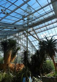 Maybe you would like to learn more about one of these? Matthaei Botanical Gardens Michigan Gardener