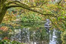 Guided Biofluorescence Walk - Benmore Botanic Garden