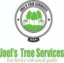 Tree Services, Modesto, CA | Joel's Tree Services