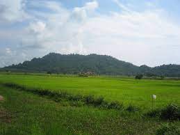 (fengtau sawah padi mayao vol 1 tony'relcon ) full in soundcloud. File Sawah Padi 6 Jpeg Wikimedia Commons