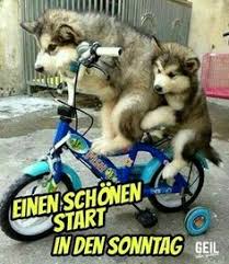 It has undoubtedly marked millions of users every day since its ability to communicate free, fast and easy. 570 Sonntag Ideen Sonntag Sonntagsgrusse Guten Morgen Sonntag