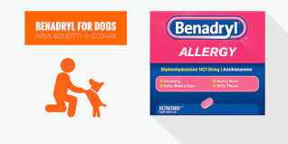 Remember, always check with your vet first in case there's something specific to your dog that prevents benadryl from being an effective treatment. Benadryl For Dogs Usage Safety Dosage Side Effects Benefits