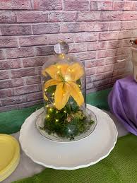 Moss Glass Dome And Flower From Michaels Fairy Lights From Amazon Flower From Tangled Birthday Party Centerpieces Tangled Birthday Tangled Party
