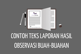 6 Contoh Teks Laporan Hasil Observasi Buah Buahan Dan Strukturnya