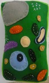 Making golgi apparatus model duration. 11 3d Cell Model Ideas Cell Model Cells Project 3d Cell