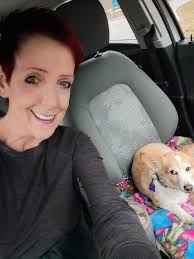 Is your dog disgusted with you after walks?