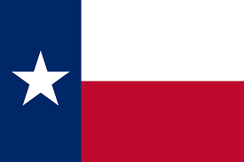 For this invite, i purchased 12x12 sheets of red bandanna patterned scrapbooking paper for the background, and 8.5 x 11 sheets of… Texas State Flag